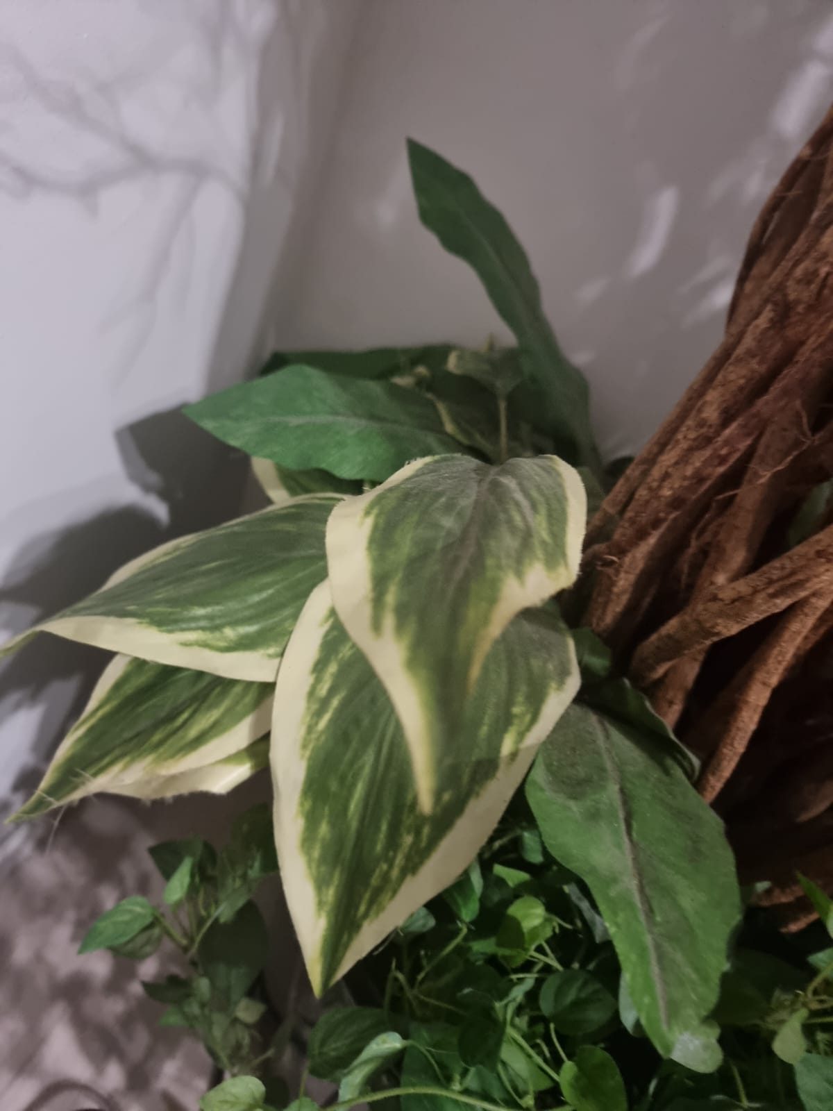 Decorative Indoor Plant with Stems