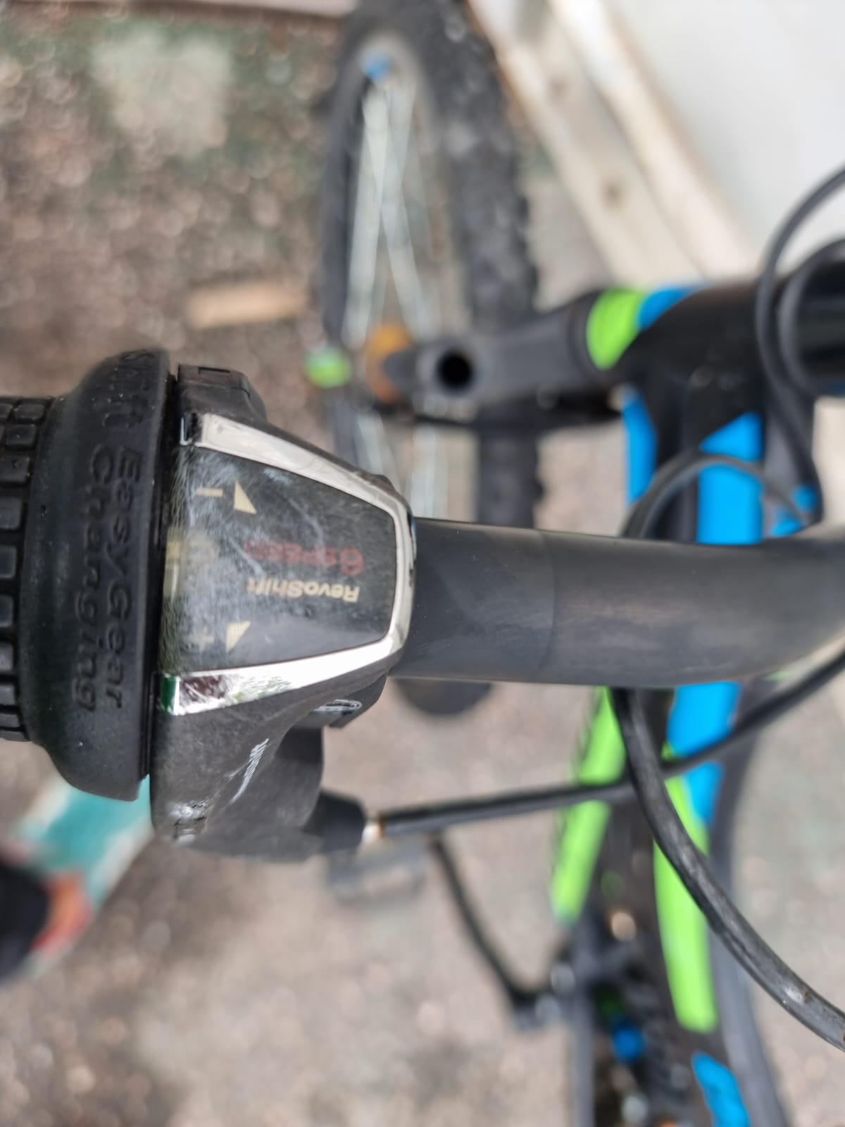 Capriolo CTX 240 Bike