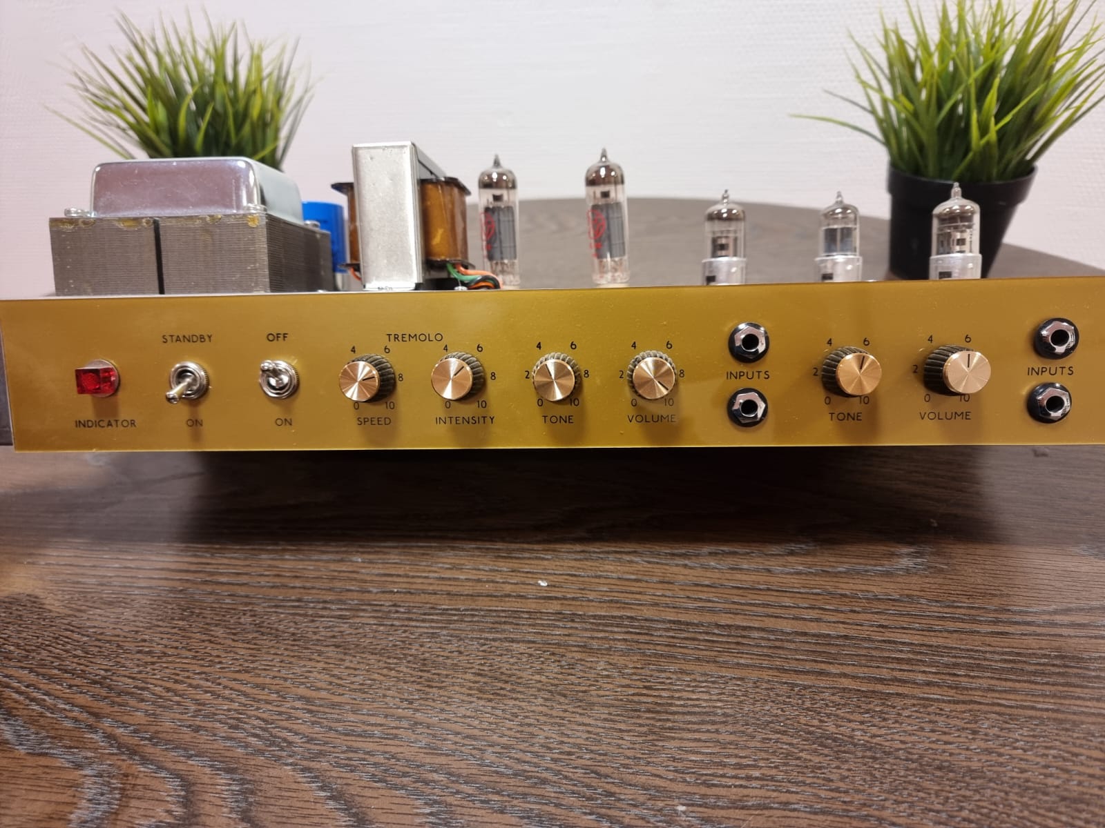 Vintage Guitar Amplifier