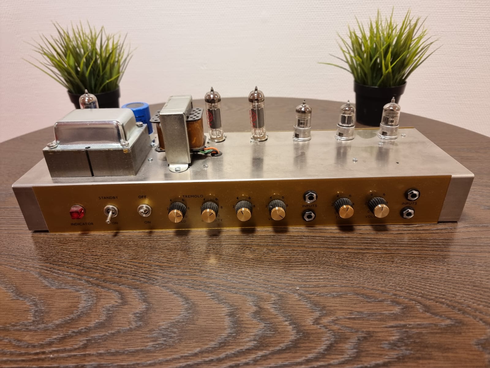 Vintage Guitar Amplifier