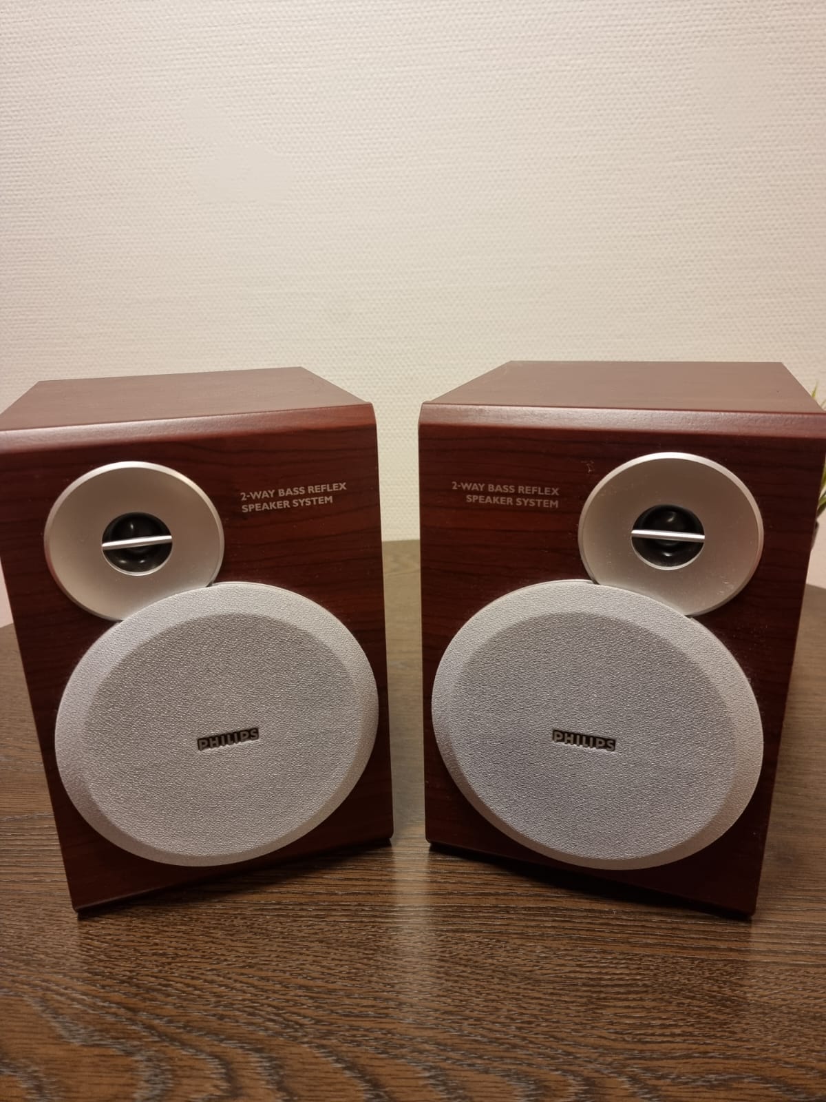 2-Way Bass Reflex Speaker System