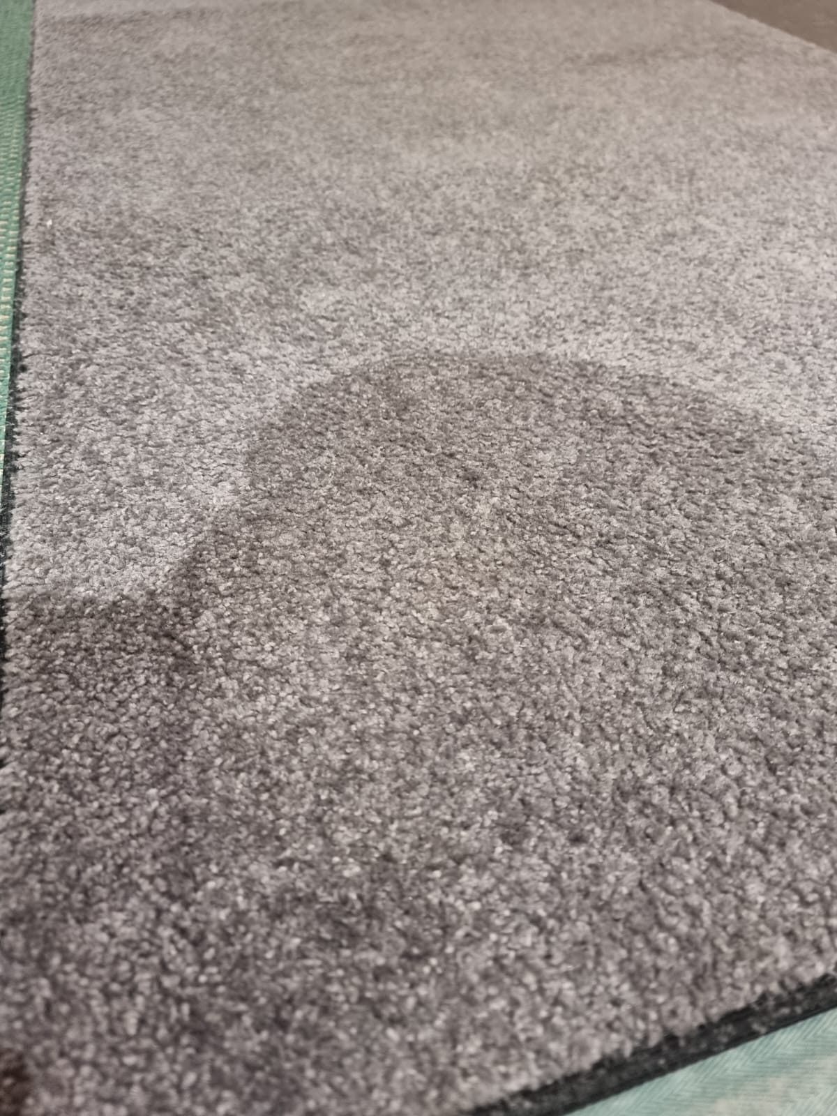 Plush Grey Carpet 250x85
