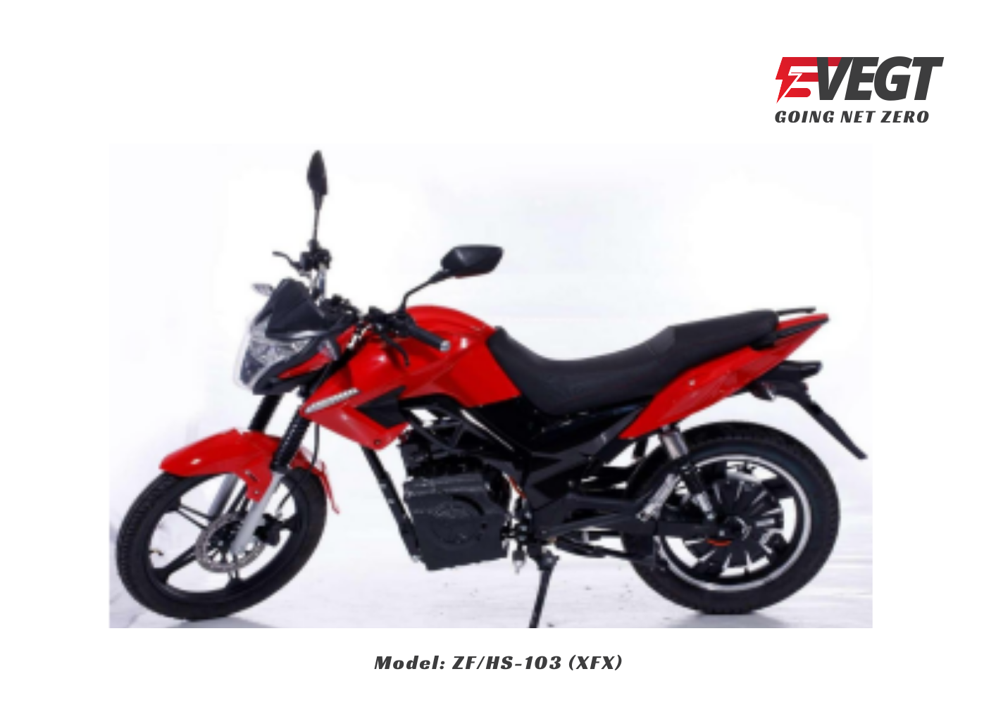 Electric Motorcycle Model: ZF/HS-103 (XFX)