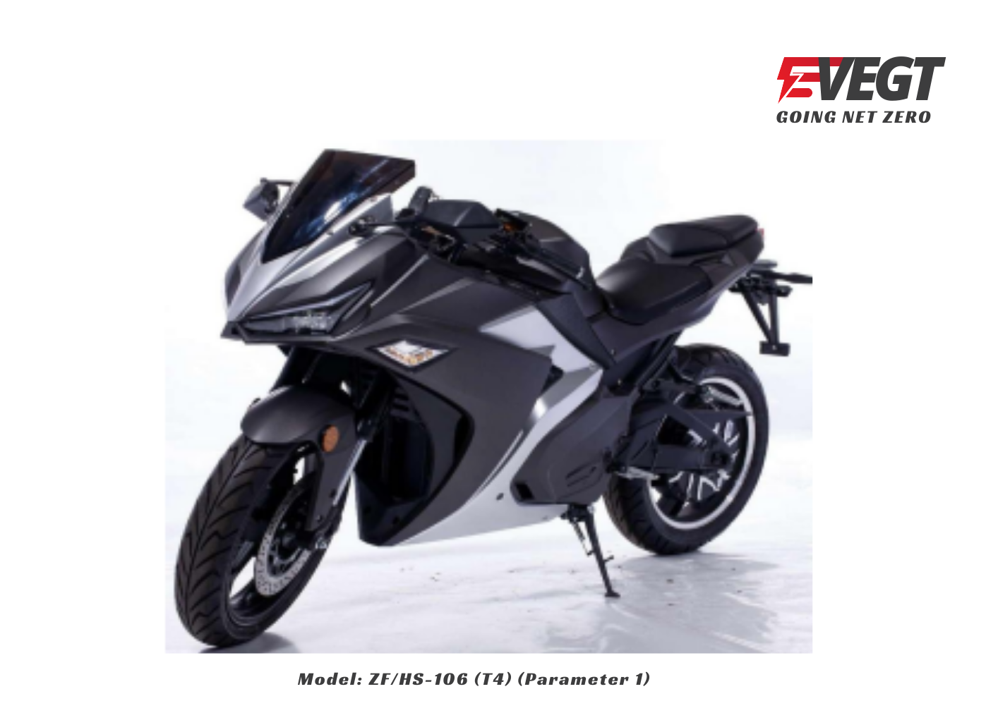 Electric Sport Motorcycle - ZF/HS-106 (T4P3)