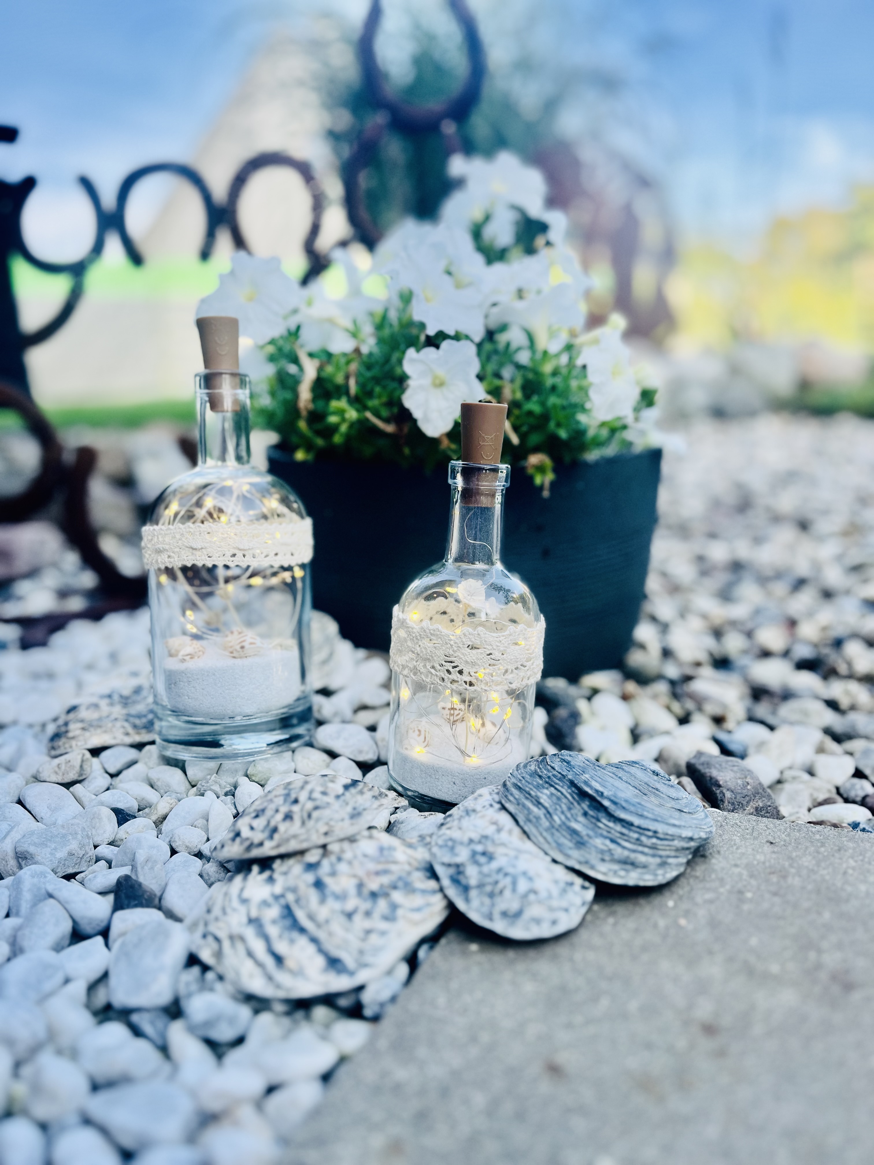 Dekorative Flaschen mit Muscheln