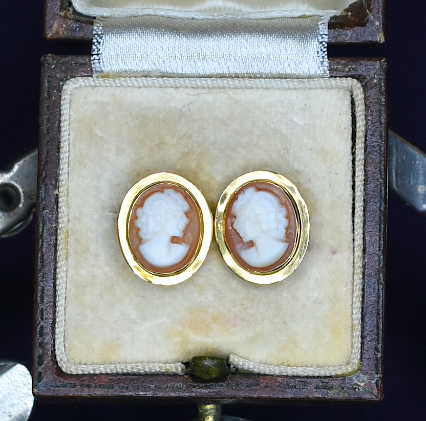 Geltono aukso auskarai Kamėjos