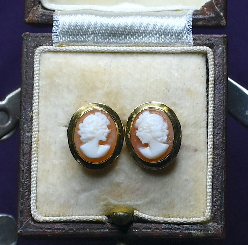 Geltono aukso auskarai Kamėjos