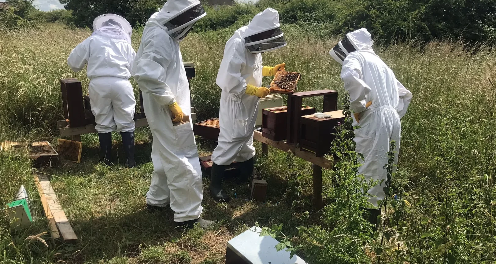 Introduction to Beekeeping in Louth