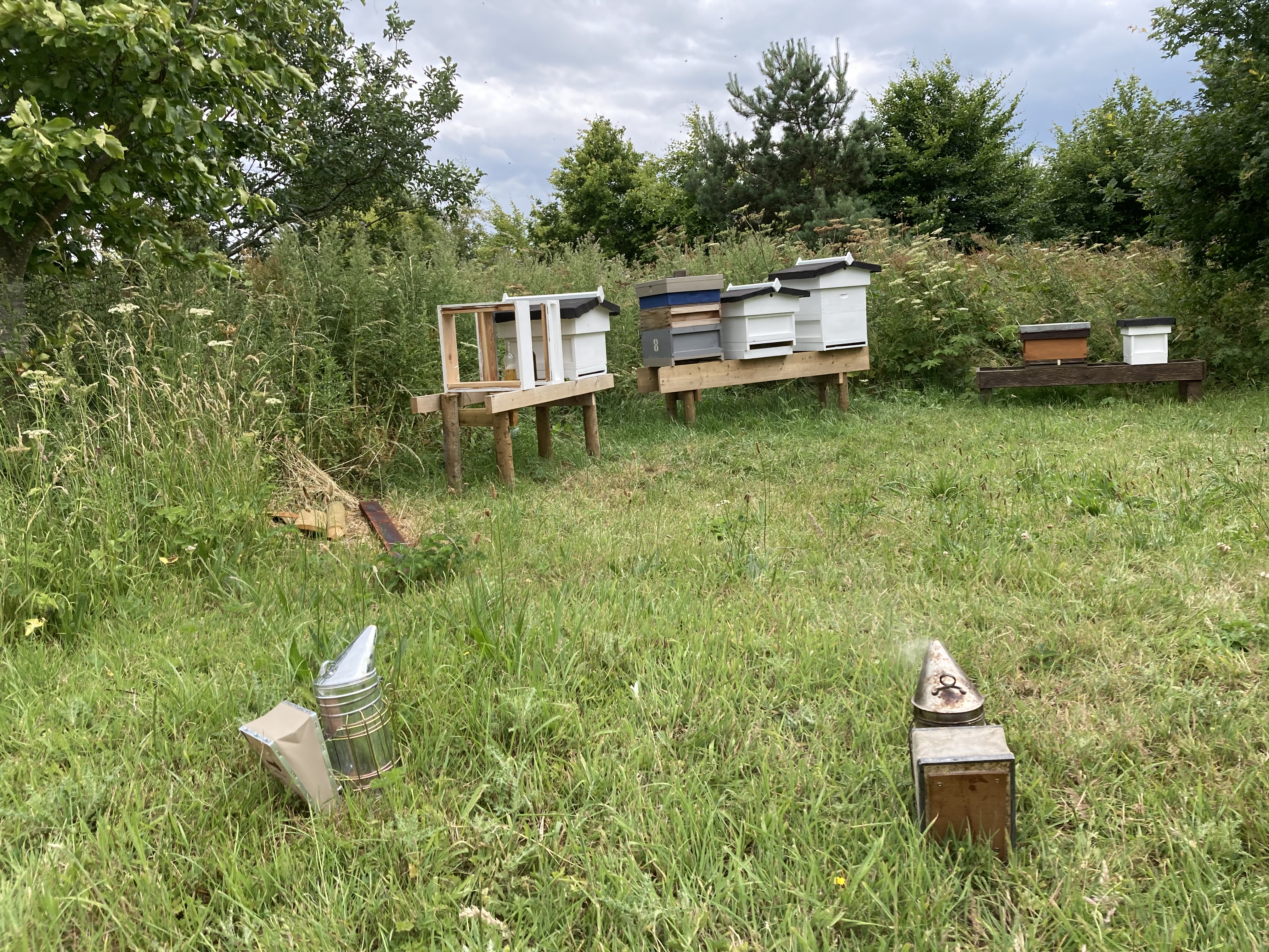 Beginners Beekeeping Course
