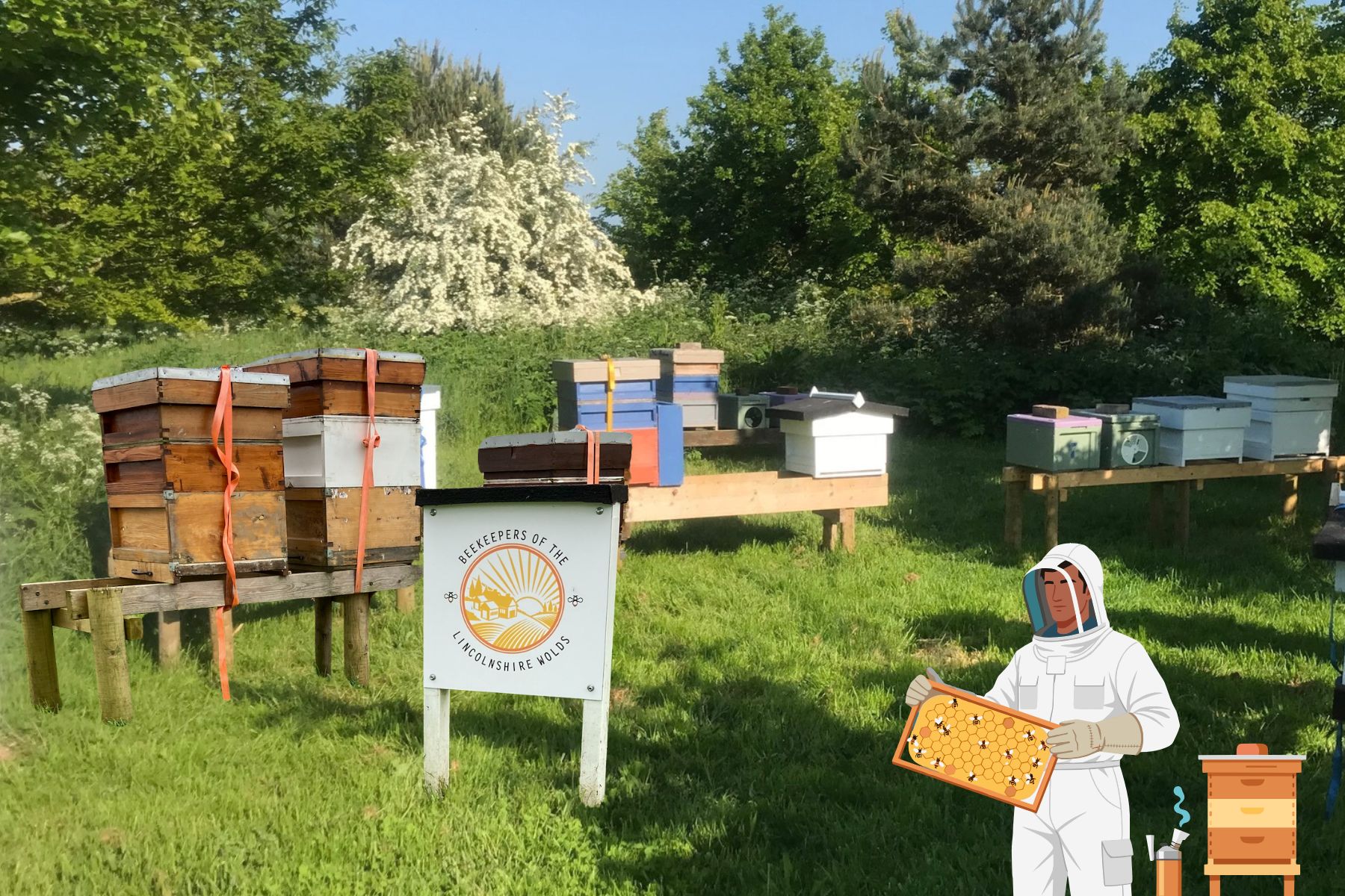 Beekeeping Introduction Session Gift Voucher