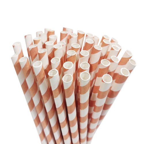 6mm Biodegradable Paper Straw 100 Pcs Per Packet (Pack of 2 Packets)