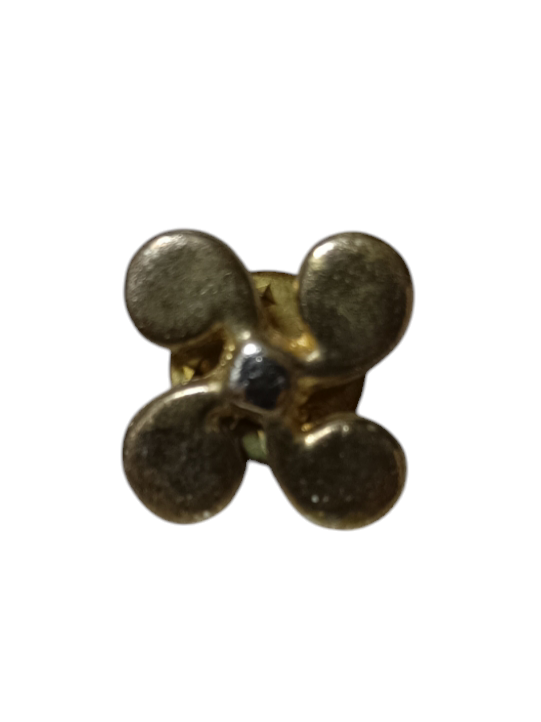 Pin estrella de euskadi vasca Z1