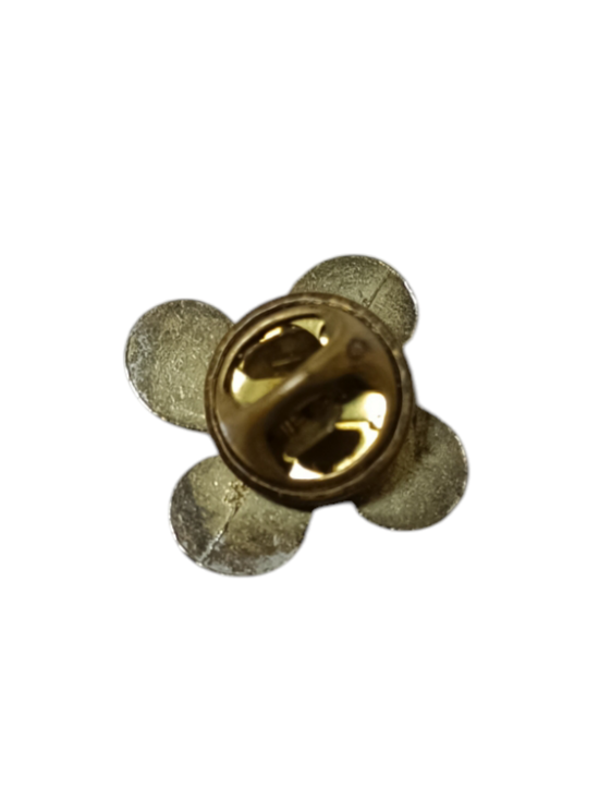 Pin estrella de euskadi vasca Z1