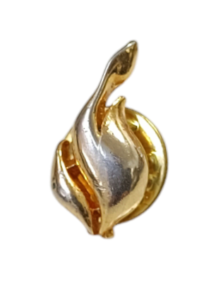 Pin llama encendida dorada
