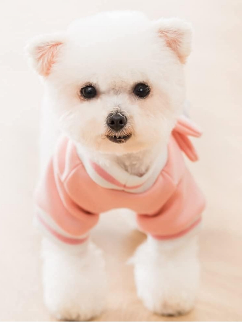 Sudadera cálida para perros y gatos