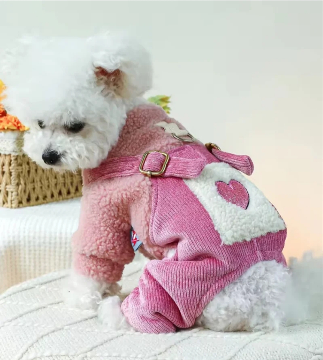 Abrigo para Mascota XL: Confort y Estilo Inigualable