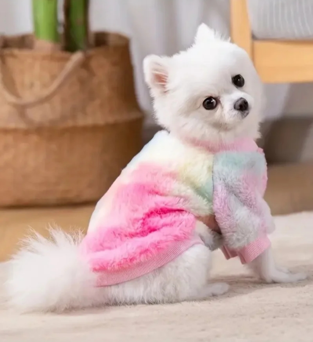 ¡Oferta Exclusiva! Suéter para Mascota