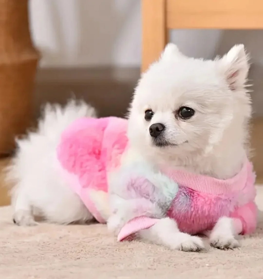 ¡Oferta Exclusiva! Suéter para Mascota