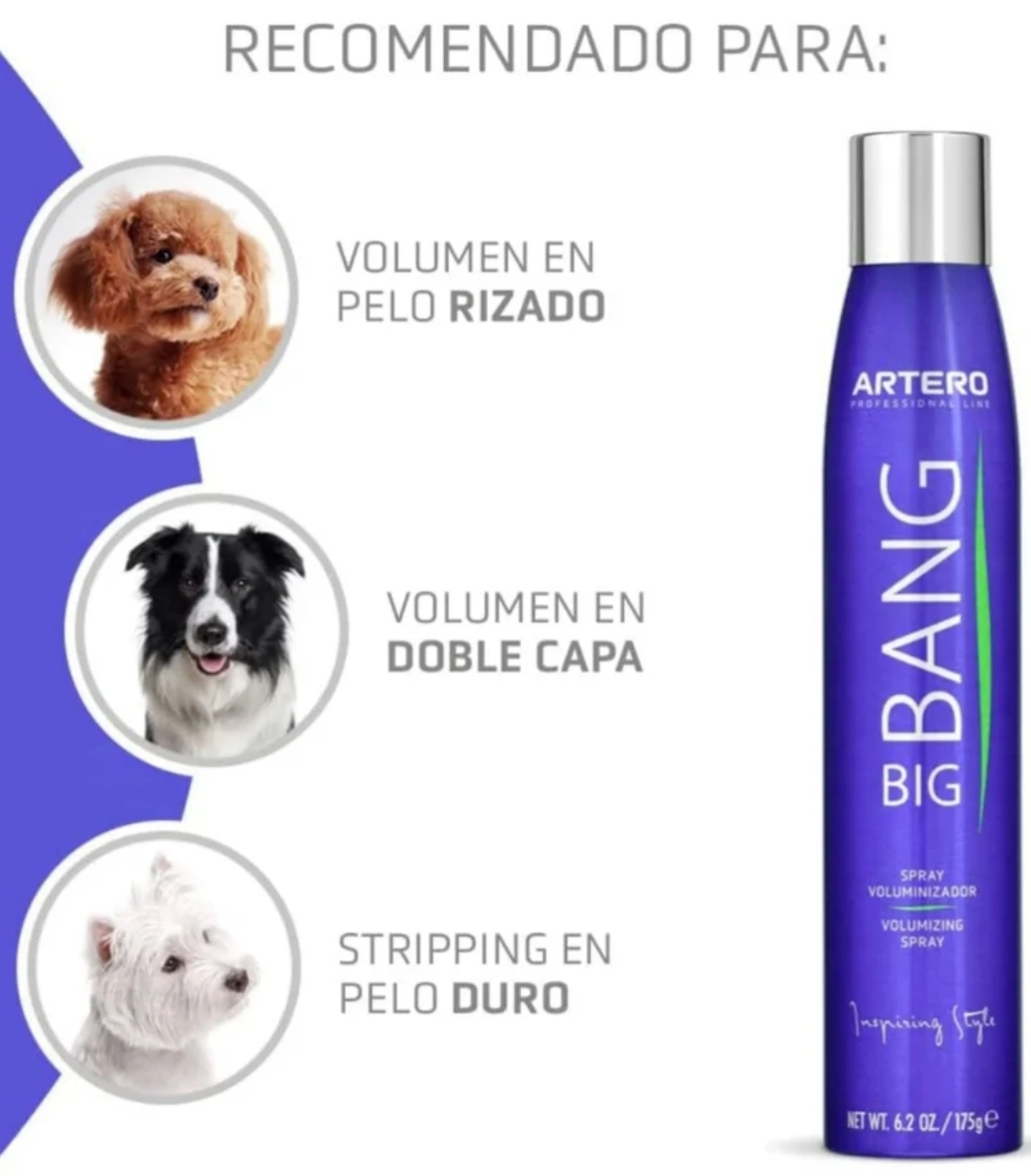 Spray Volumen Profesional Artero Big Bang 300ml