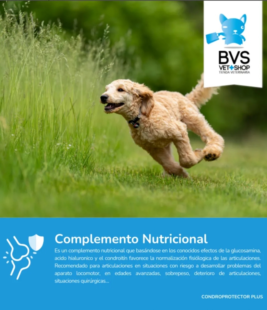Suplemento Articular Mascotas – 1 o 2 Botes