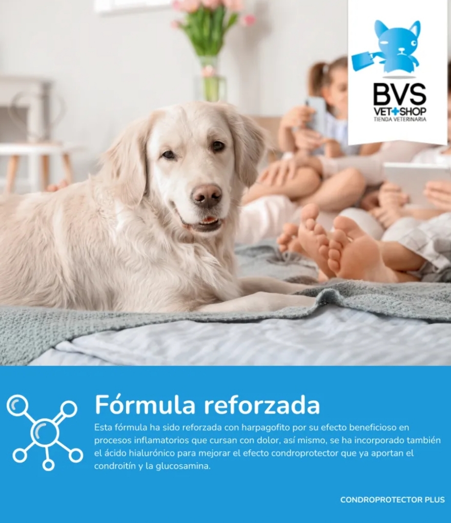 Suplemento Articular Mascotas – 1 o 2 Botes