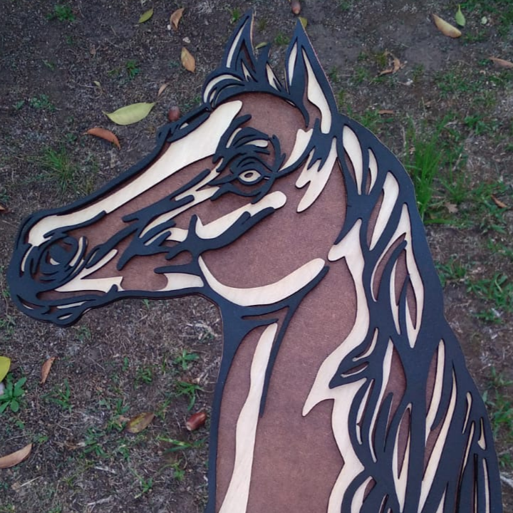 Caballo Multicapa