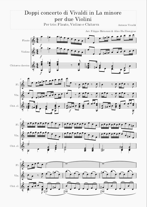 Concerto for two violins in A minor - Antonio Vivaldi Transcription