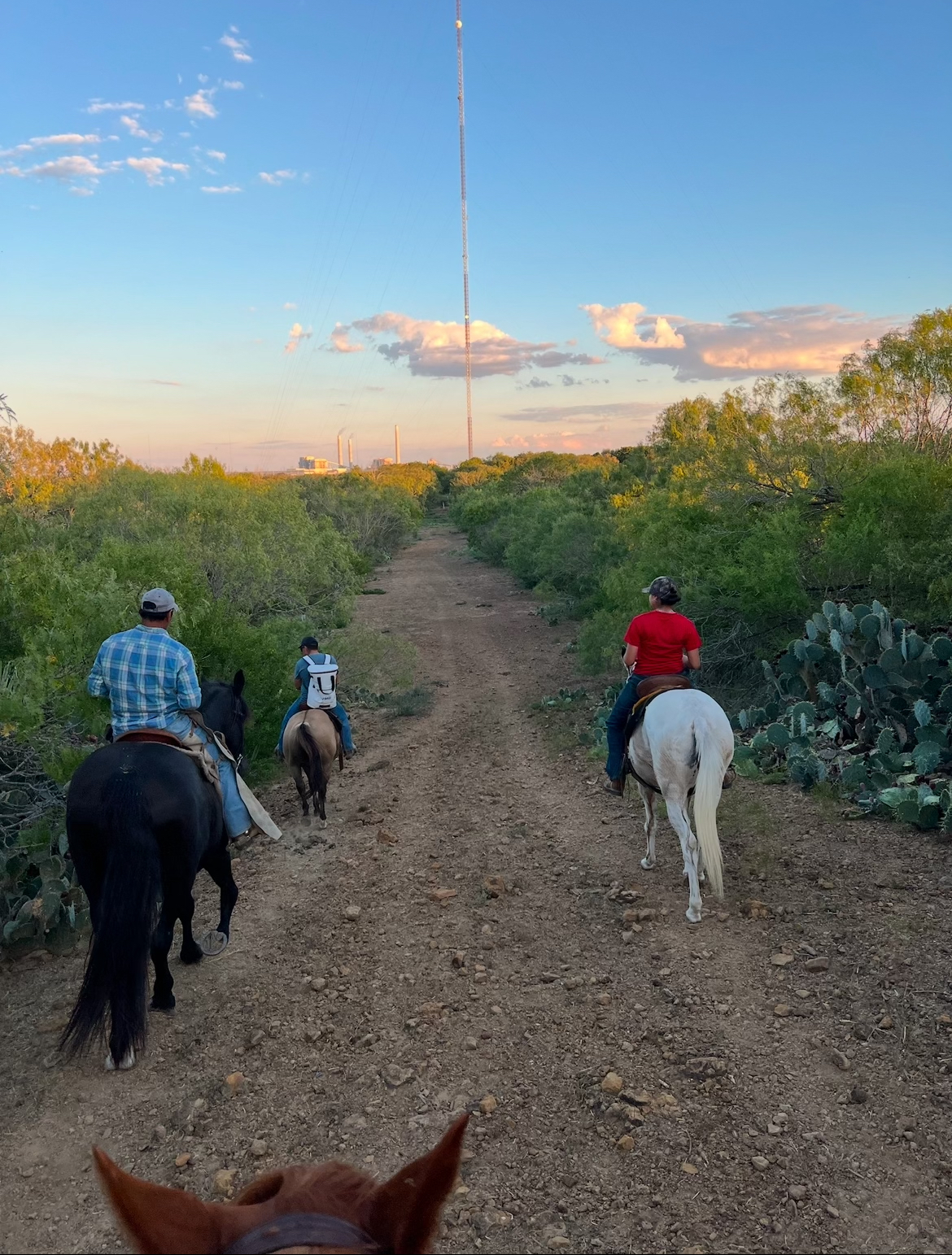 Small Private Group Ride (2-3 Riders)