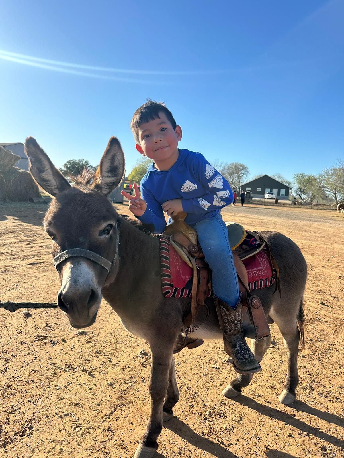 Children Arena Ride (Ages 4-12)