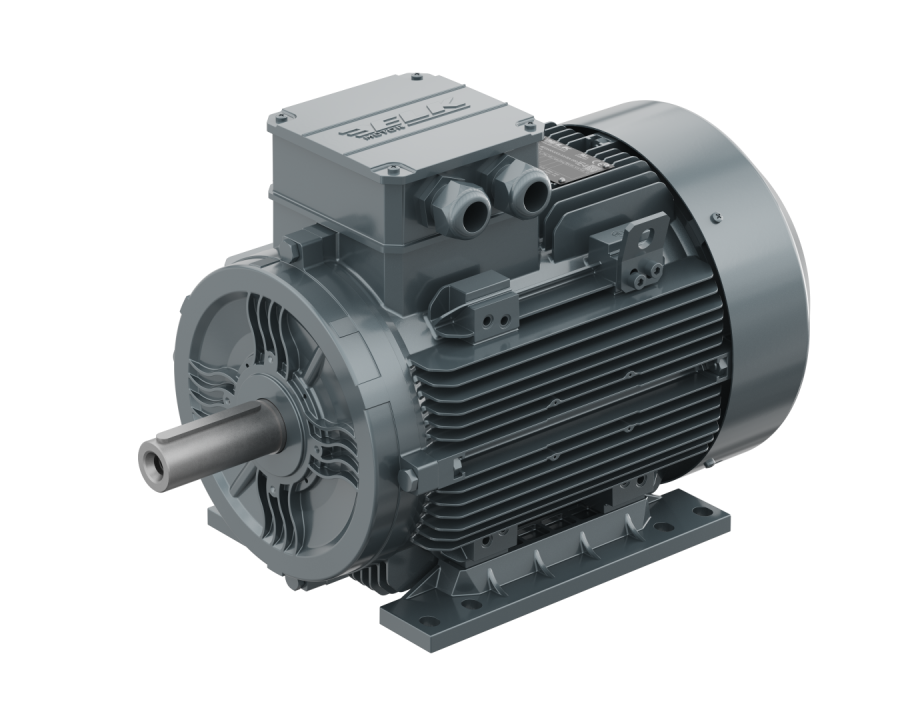 ELK MARKA 18,50 KW 3000 D/d TRİFAZE ELEKTRİK MOTORU