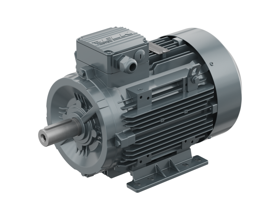 ELK MARKA 5,50 KW 1000 D/d PİK GÖVDE TRİFAZE ELEKTRİK MOTORU