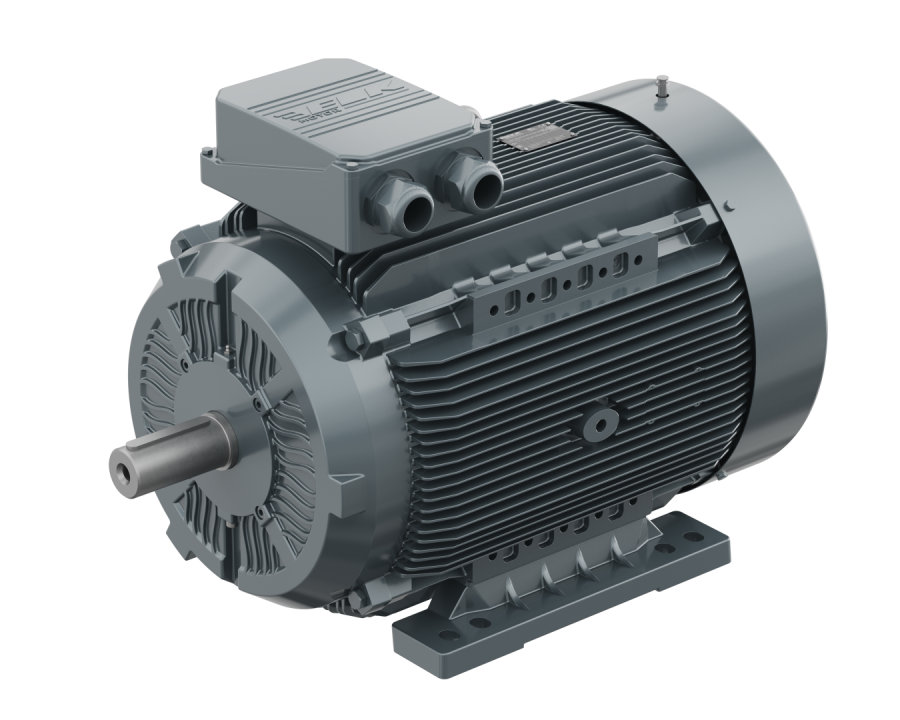 ELK MARKA 45 KW 1000 D/d PİK GÖVDE TRİFAZE ELEKTRİK MOTORU