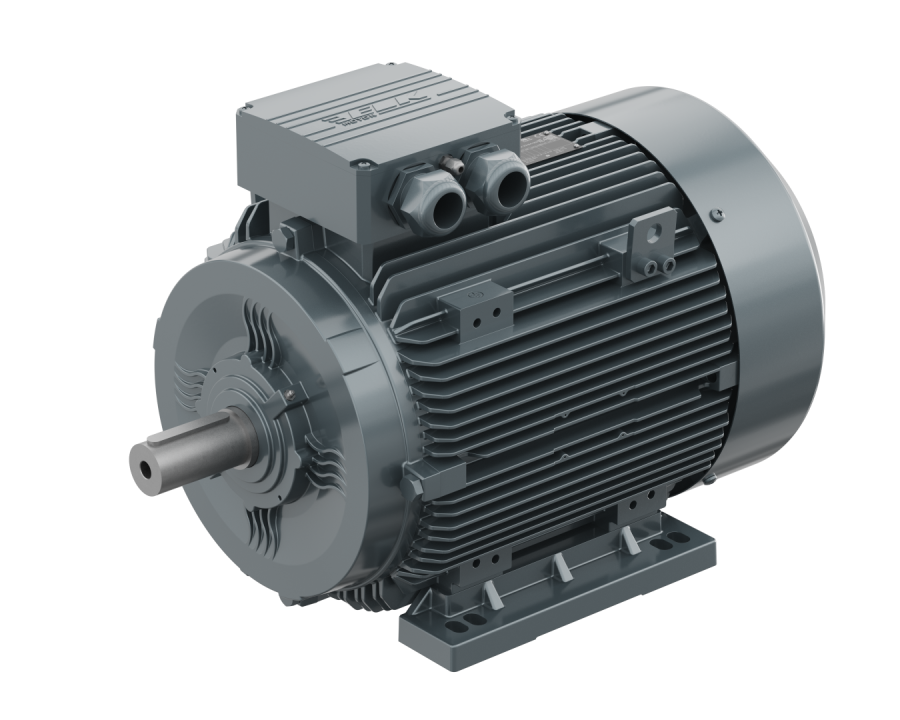 ELK MARKA 55 KW 1500 D/d PİK GÖVDE TRİFAZE ELEKTRİK MOTORU