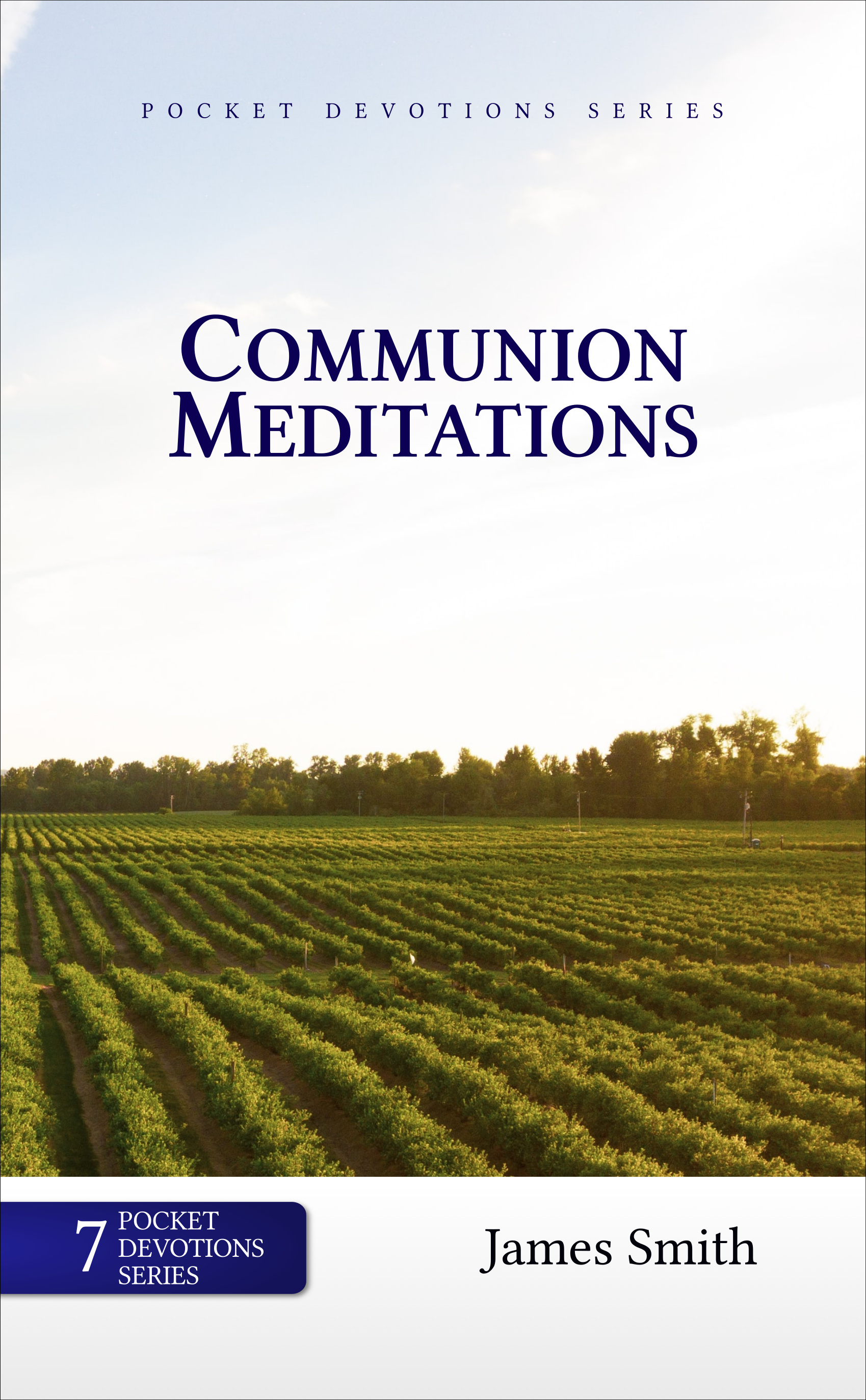 Communion Meditations