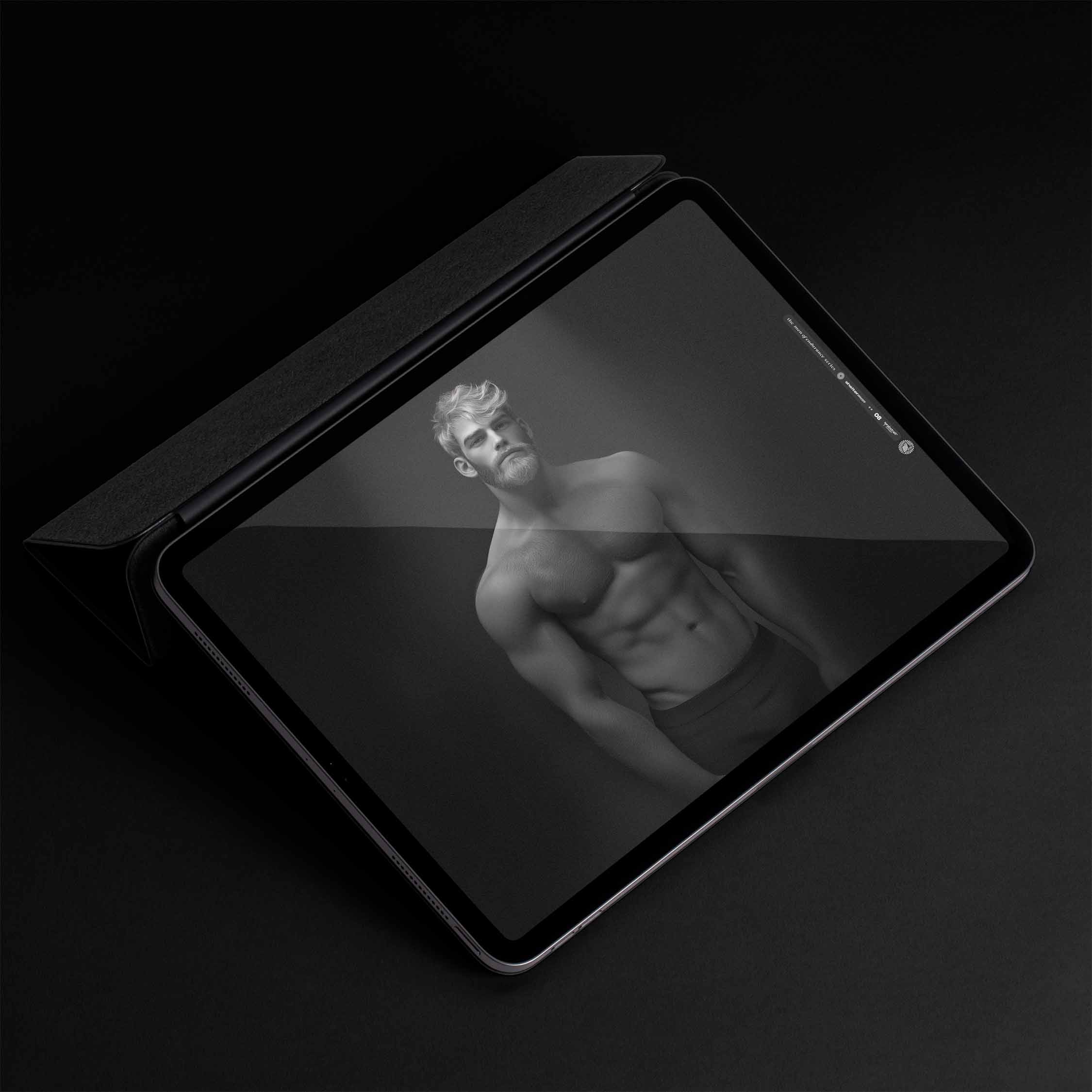 Wallpapers de "Shelterman"