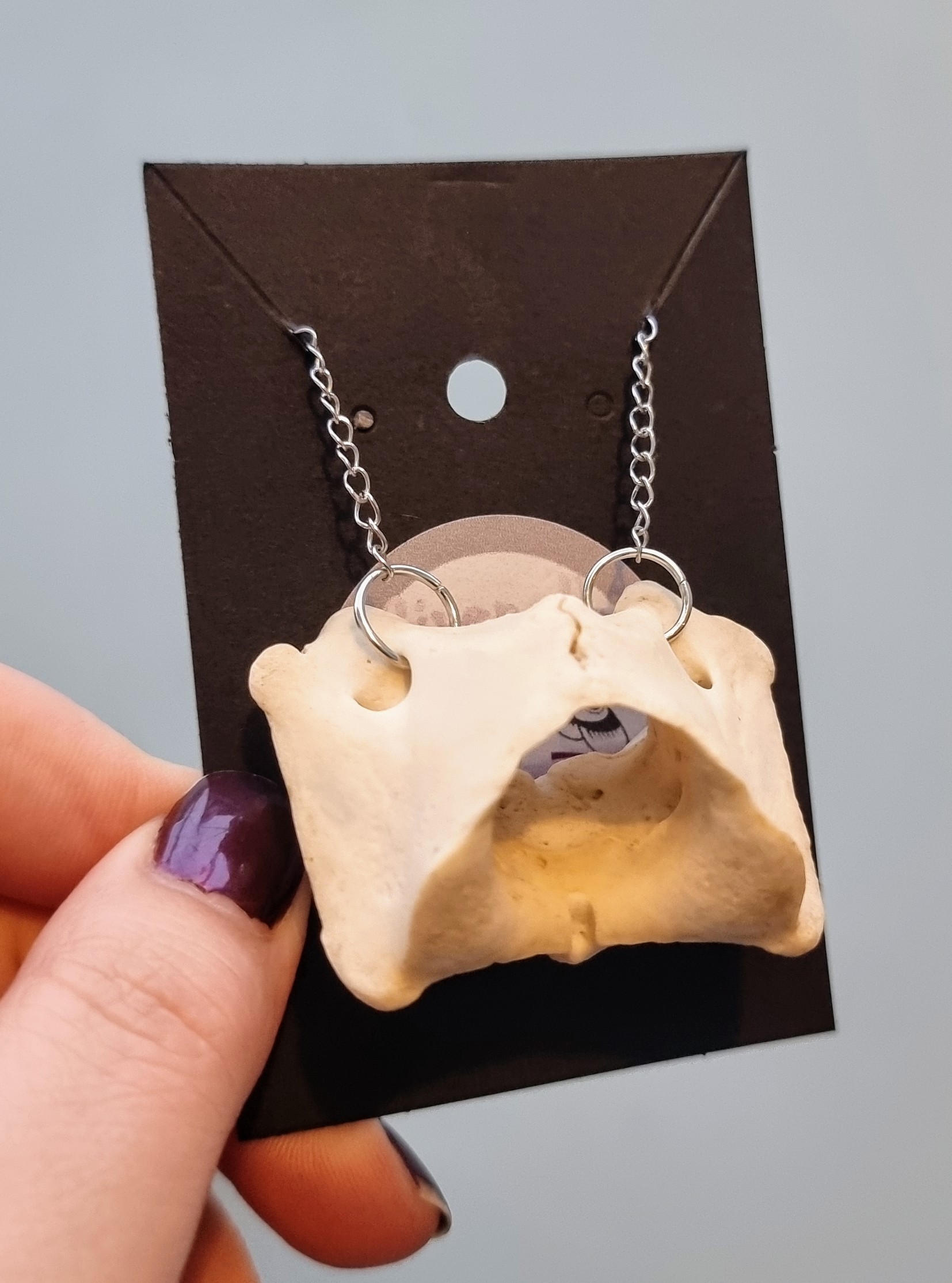 Deer Vertebrae Necklace