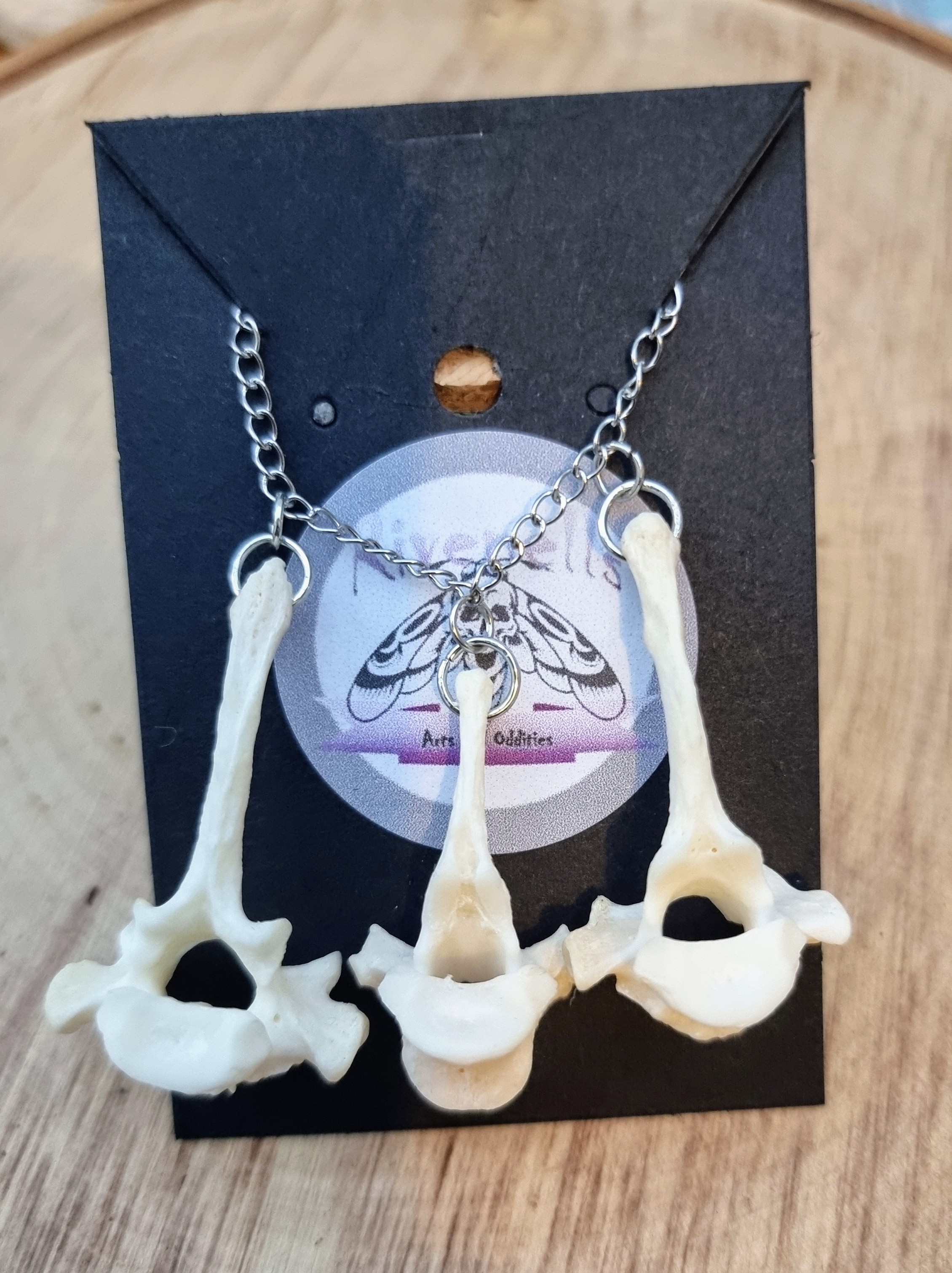 Fox Vertebrae Necklace