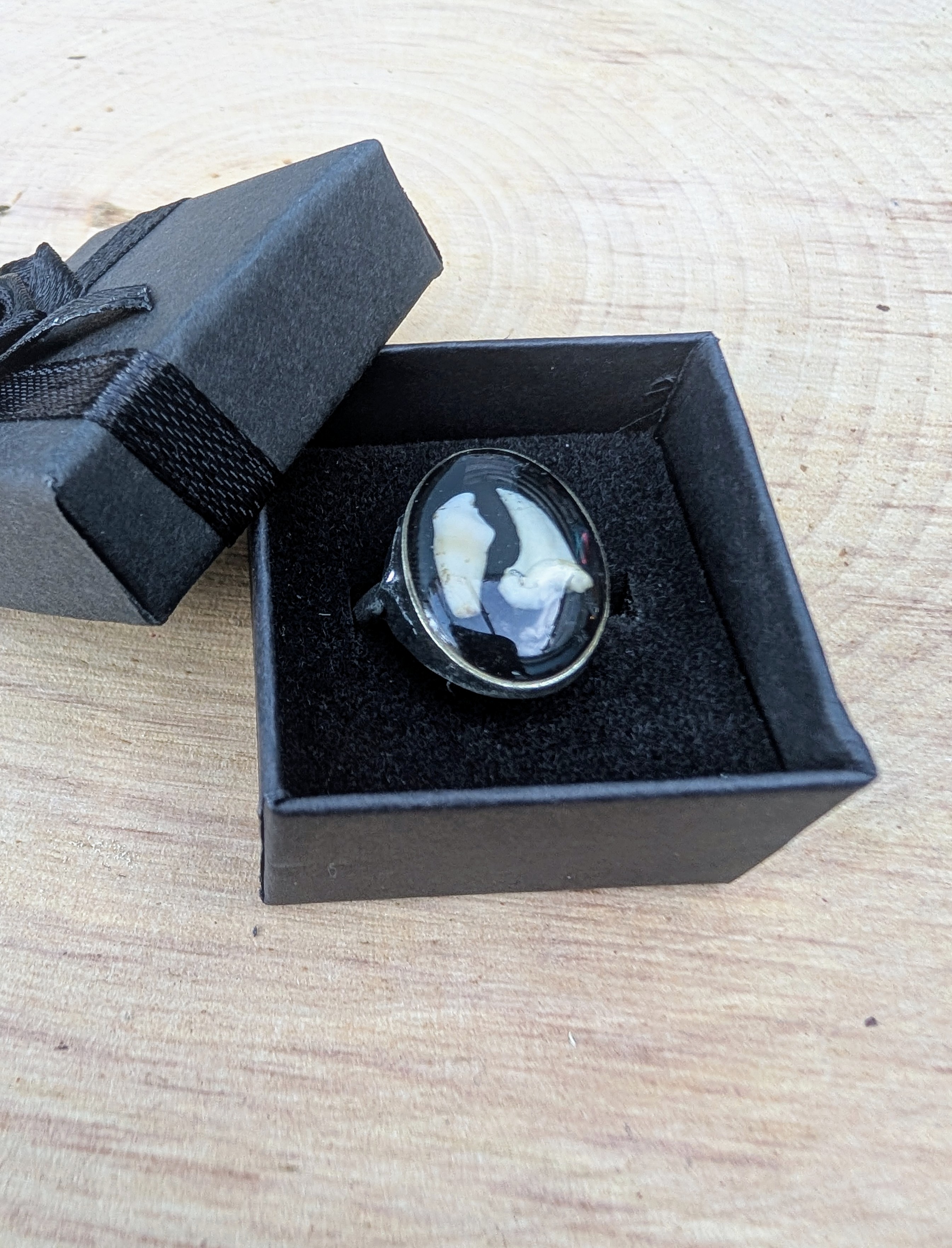 Curios Ring