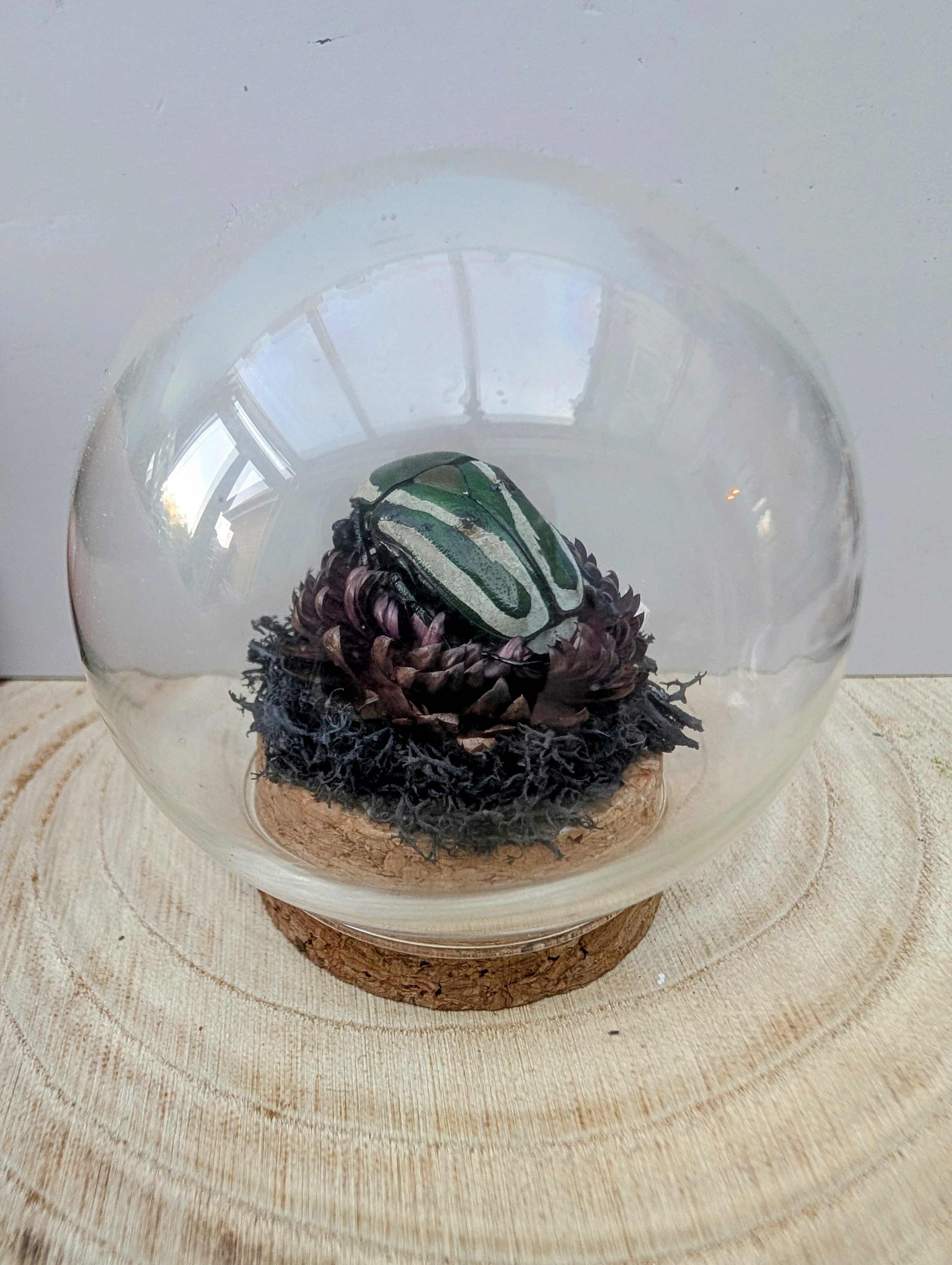 Emerald Flower Beetle Globe