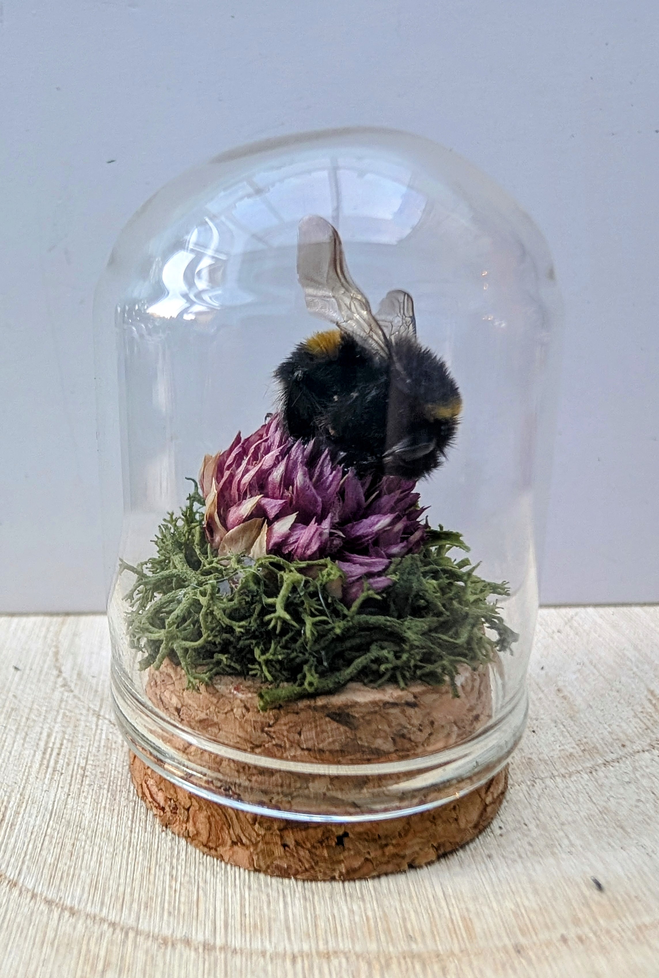 Bumblebee Mini Dome