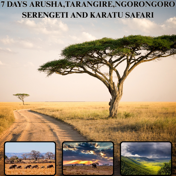 7-Day Arusha, Tarangire, Ngorongoro, Serengeti, and Karatu Safari Package