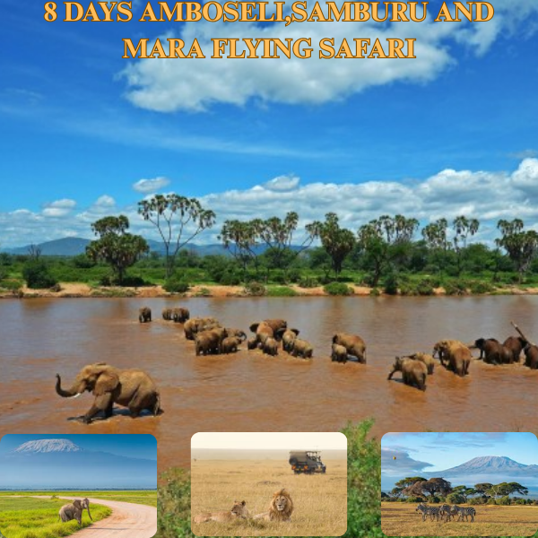 8-Day Flying Safari to Amboseli, Samburu, and Masai Mara National Reserve
