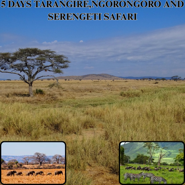 5-Day Ngorongoro and Serengeti National Park Safari