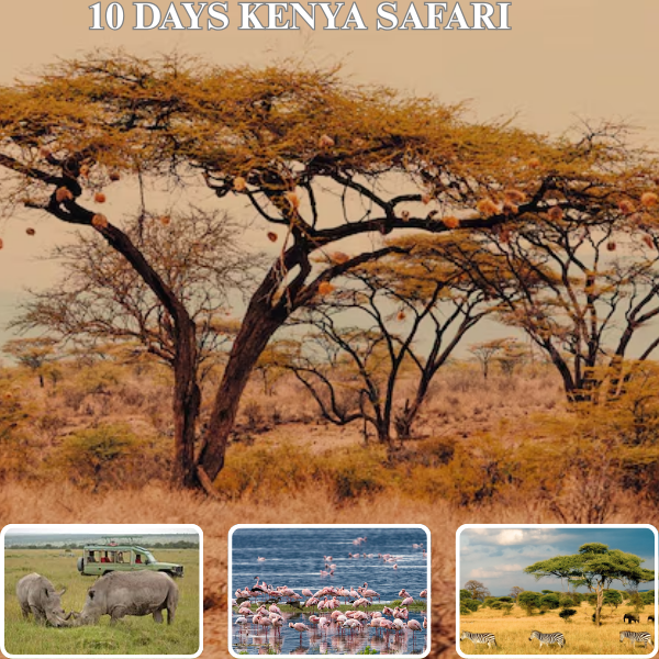 10-Day Kenya Safari