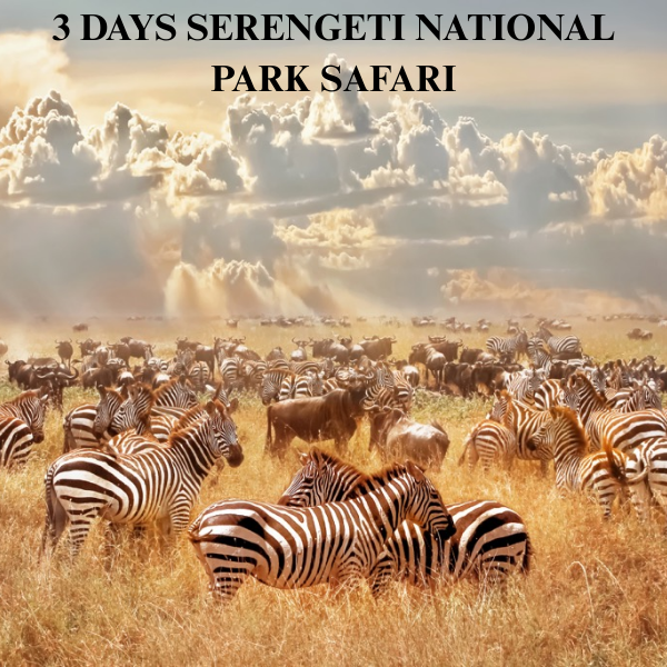 3-Day Serengeti National Park Safari