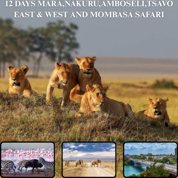 12-Day Mara, Nakuru, Amboseli, Tsavo East & West, Mombasa Safari