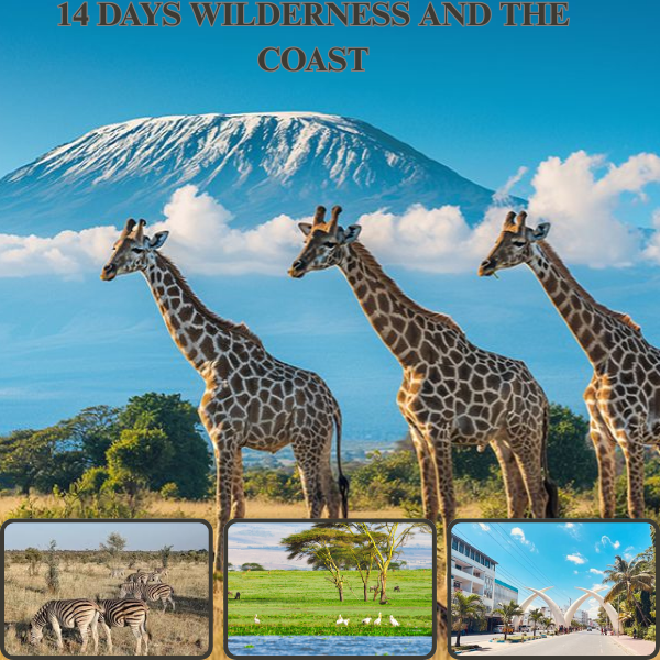 14-Day Wilderness and the Coast Safari