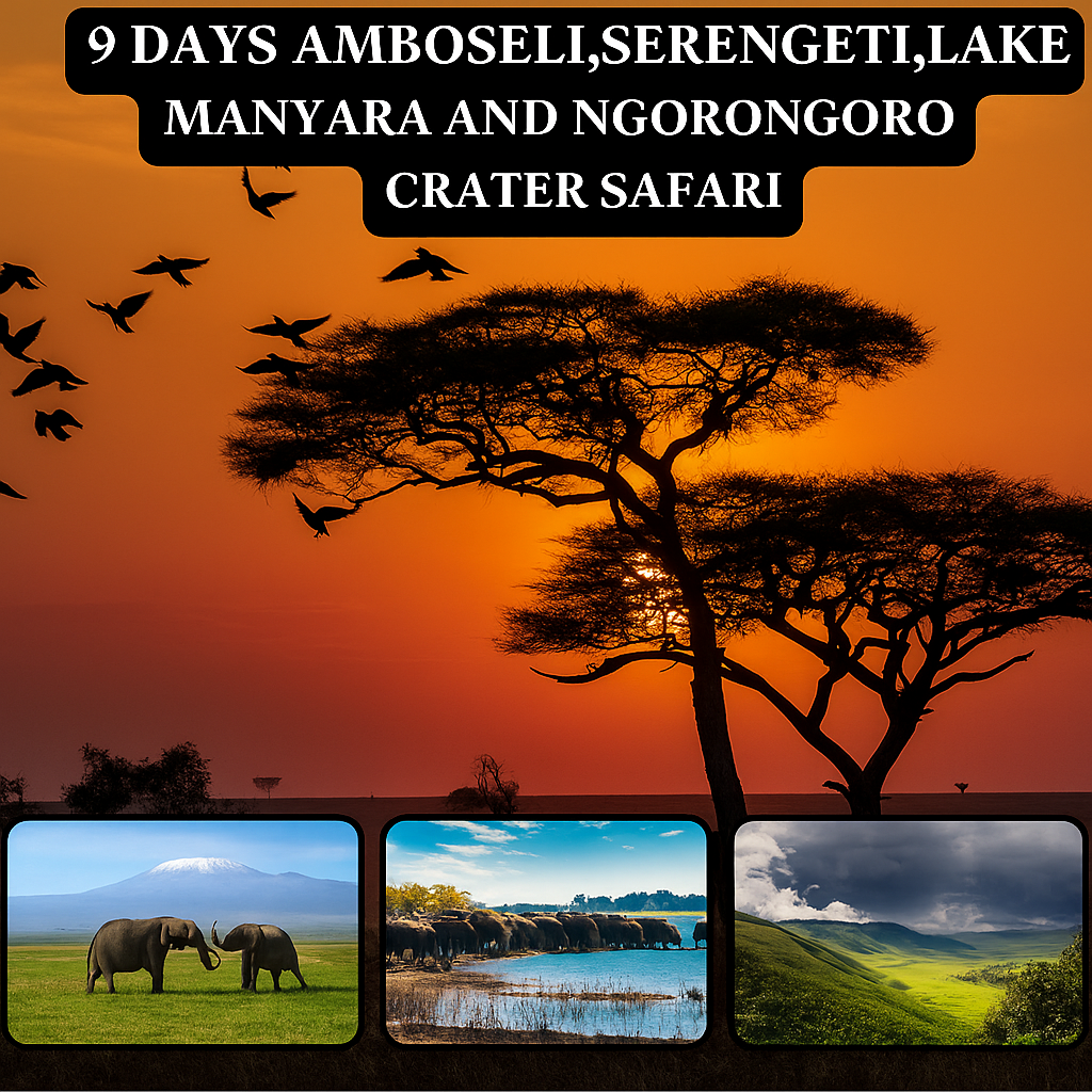 9 Days Amboseli, Serengeti, Lake Manyara, Ngorongoro Safari