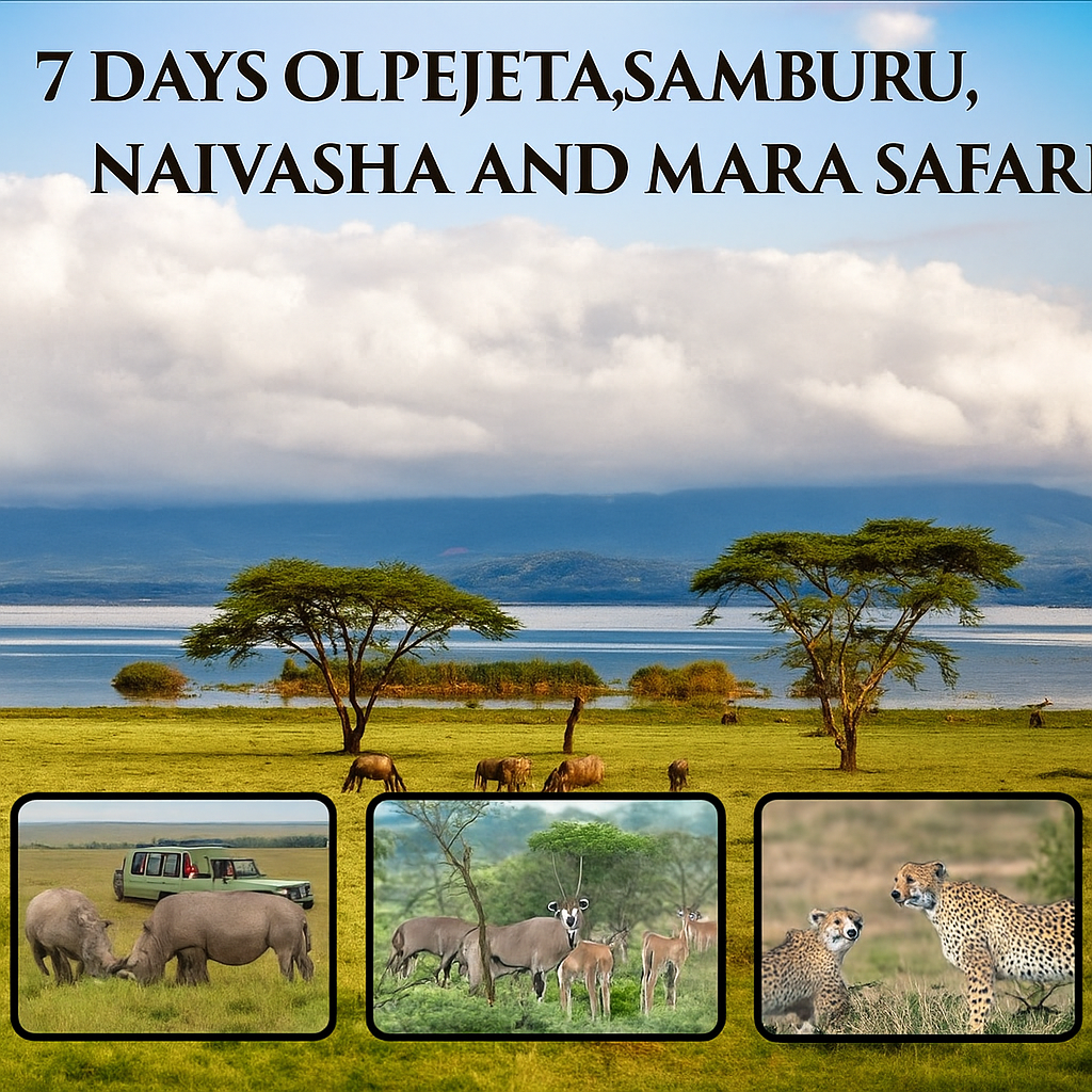 7-Day Ol Pejeta, Samburu, Lake Naivasha, and Masai Mara Safari