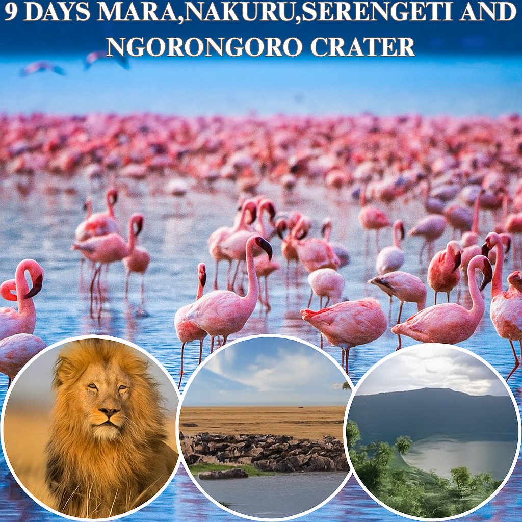 9-Days Maasai Mara, Lake Nakuru, Serengeti, Ngorongoro Crater Safari